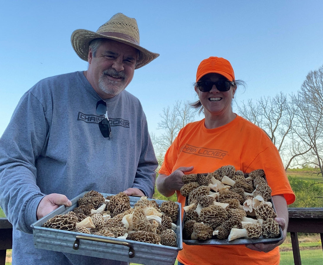 Spring cleaning and chainsaw safety